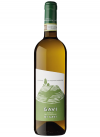 Gavi di Gavi