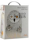 Asio Otus Bianco Enigmatico Winebox