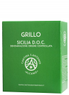 Grillo