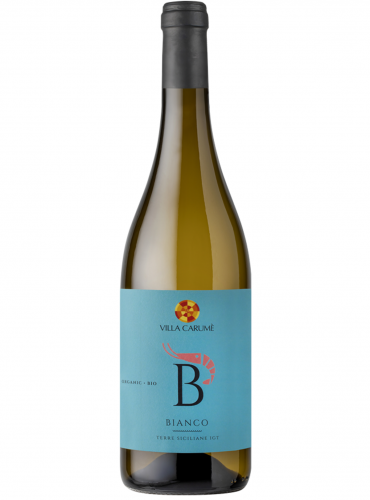 Bianco Terre Siciliane IGT 